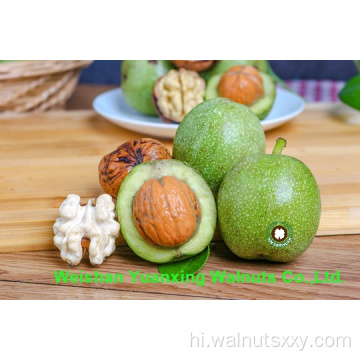 चीनी अखरोट की गुठली के टुकड़े